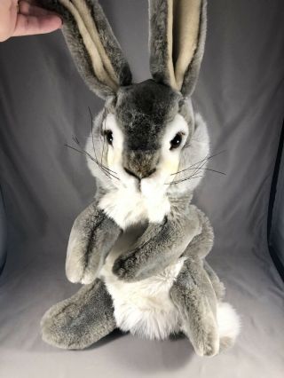 Steiff Vintage Jolly Hase Rabbit Bunny Hare Puppet Plush With Ear Tag 7010/45