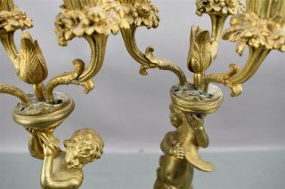 Antique Gold Brass Bronze French Ormolu Cherub Candelabra Pair Ornate 3 arm 12