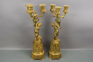 Antique Gold Brass Bronze French Ormolu Cherub Candelabra Pair Ornate 3 Arm