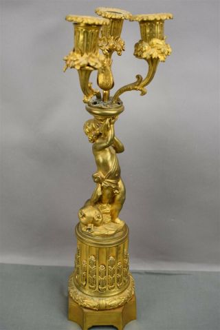 Antique Gold Brass Bronze French Ormolu Cherub Candelabra Pair Ornate 3 arm 3