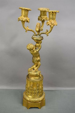 Antique Gold Brass Bronze French Ormolu Cherub Candelabra Pair Ornate 3 arm 4