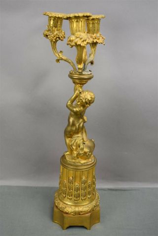 Antique Gold Brass Bronze French Ormolu Cherub Candelabra Pair Ornate 3 arm 5