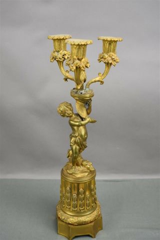 Antique Gold Brass Bronze French Ormolu Cherub Candelabra Pair Ornate 3 arm 6