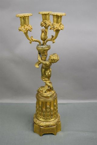 Antique Gold Brass Bronze French Ormolu Cherub Candelabra Pair Ornate 3 arm 8