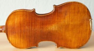Old Violin 4/4 Geige Viola Cello Fiddle Label Joannes Rota