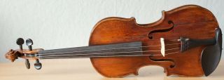 old violin 4/4 geige viola cello fiddle label JOANNES ROTA 2