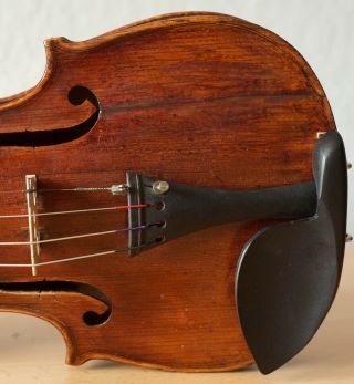 old violin 4/4 geige viola cello fiddle label JOANNES ROTA 6