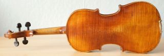 old violin 4/4 geige viola cello fiddle label JOANNES ROTA 7