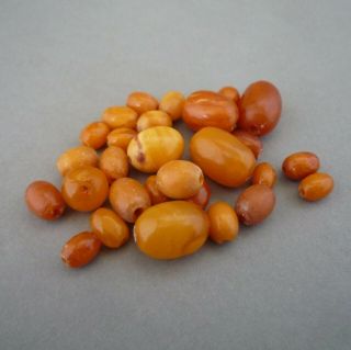 Antique/vintage Natural Butterscotch/egg Yolk Baltic Amber Loose Beads 7.  9 Grams