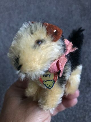 Rare Tiny Vintage Steiff 4” Miniature Mohair Terry Airedale Dog Chest Tag Button