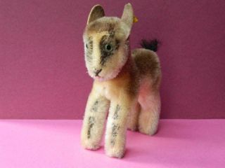 Steiff Vintage 1961 Miniature Mohair 4 " Young Chamois With Button & Tag 6312,  00