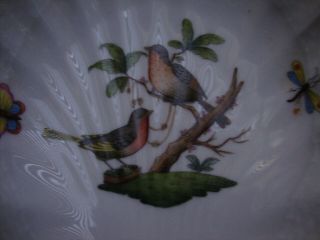 Vintage HEREND Hungary Porcelain Rothschild Bird Pattern Serving Dish Bowl Shell 3