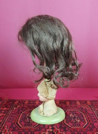 Antique Dark Brown Mohair Doll Wig With Pate Attached Great For German/french
