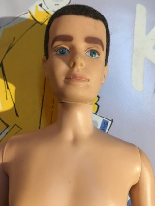 Rare VINTAGE PONYTAIL KEN DOLLs,  Clothes and CASE,  Barbie Boyfriend 8