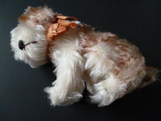 MOLLY Vtg Steiff dog 3317.  00,  cond.  All tags and button.  Turning head 5