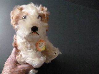 MOLLY Vtg Steiff dog 3317.  00,  cond.  All tags and button.  Turning head 6
