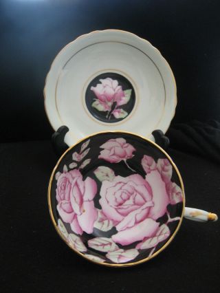 Vintage Paragon China Footed Cup & Saucer Pink Cabbage Rose Black On Pale Green