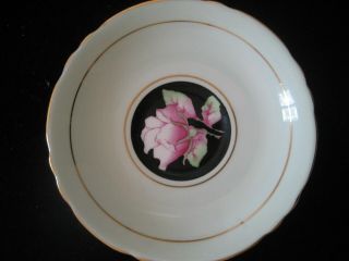 Vintage PARAGON China Footed Cup & Saucer Pink Cabbage Rose Black on Pale Green 6