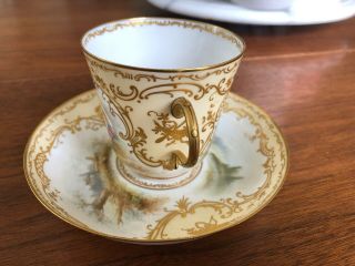 Antique French Sevres Hand Painted Porcelain Cup & Saucer 6