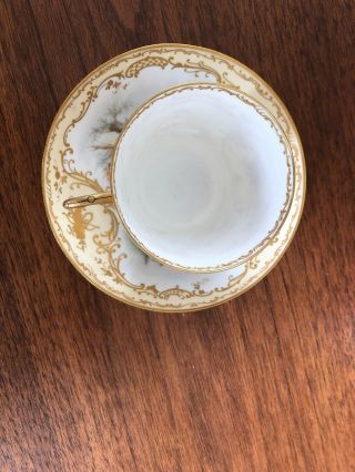 Antique French Sevres Hand Painted Porcelain Cup & Saucer 7