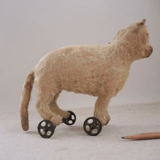 Antique Steiff Mohair Cat Pull Toy Metal Wheels Early Button in Ear Stuffed TLC 2