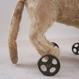 Antique Steiff Mohair Cat Pull Toy Metal Wheels Early Button in Ear Stuffed TLC 3