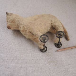 Antique Steiff Mohair Cat Pull Toy Metal Wheels Early Button in Ear Stuffed TLC 8