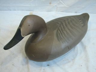 Vintage Red Head/gadwall/wigeon Hen Hunting Decoy Model Weight