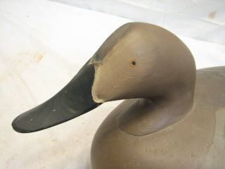 Vintage Red Head/Gadwall/Wigeon Hen Hunting Decoy Model Weight 2