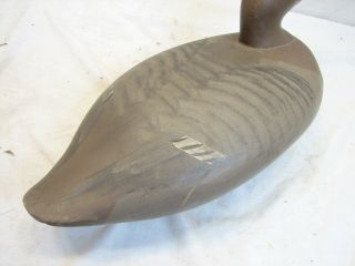 Vintage Red Head/Gadwall/Wigeon Hen Hunting Decoy Model Weight 3