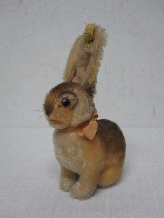 Vintage Steiff 2290/17 " Sonny " Bunny Rabbit 8 1/2 "