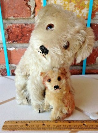 Vintage Steiff Mohair Cute Molly Puppy Dog Duo - Ff Button & Us Zone Germany