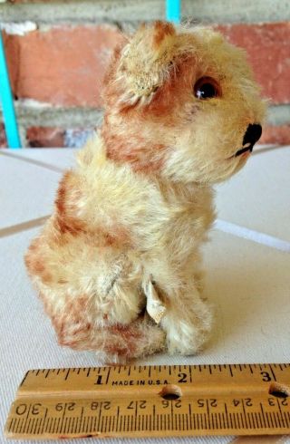Vintage Steiff Mohair CUTE Molly Puppy Dog Duo - FF Button & US Zone Germany 7
