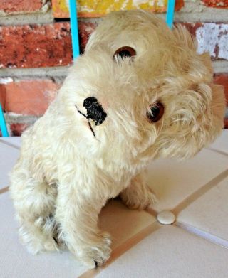 Vintage Steiff Mohair CUTE Molly Puppy Dog Duo - FF Button & US Zone Germany 8