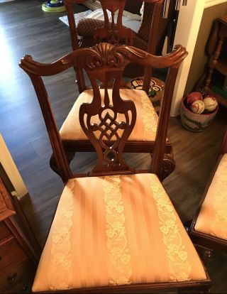 Mahogany Chippendale Dining Chairs 3