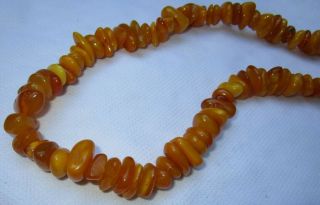 Vintage Baltic Amber Nugget Necklace,  Poland,  109 Grams,  Butterscotch & Egg Yolk 4