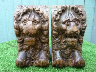 Stunnning Pair: 16thc Gothic Wooden Oak Lion Head Carvings,  Corbels C1580s