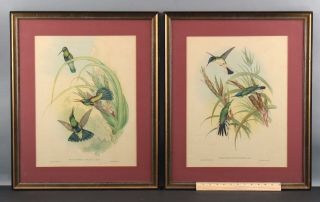 2 Antique 19thc Hummingbirds John Gould H C Richter Colored Lithograph Prints
