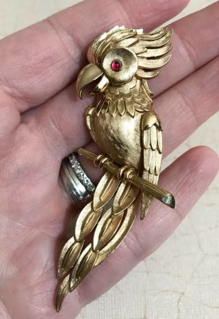 Vintage Crown Trifari Gold Tone Rhinestone Parrot Bird Brooch Pin