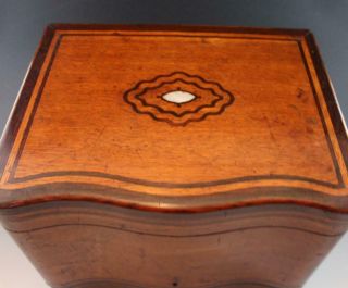 Antique French Brevete Tantalus Box w/ Fruitwood & MOP Inlay w/ Glass Decanters 4