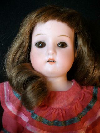 Antique Bisque German Doll Head Mabel Kid Body Lower Arms Sleep Eyes 13 In.