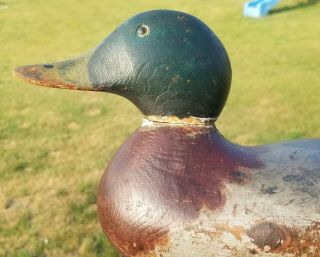 Vintage Mason Standard Grade Glass Eye Mallard Drake Wood Duck Decoy Michigan
