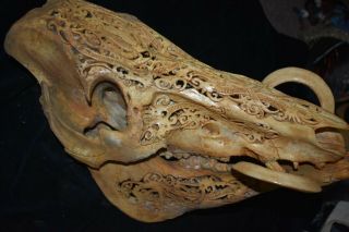 Orig $399 Dayak Shamans Carved Boar Skull 1900s 15 " Prov