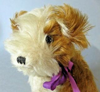 Cute Antique Vintage Steiff Molly Dog Soft Toy Teddy Bear