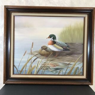 Vintage Duck Couple Wildlife Painting By Andrew Hay Oil Canvas Framed Art 30x26 "