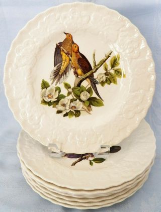 Vintage Alfred Meakin National Audubon Birds Of America Luncheon Plates Set Of 8