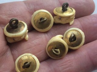 Rare antique egyptian revival Waistcoat Buttons I.  Hand carved 1/2 inch across. 4