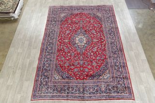 8x12 Traditional Wool Hand - Knotted Floral Oriental Rug Classic Carpet 2