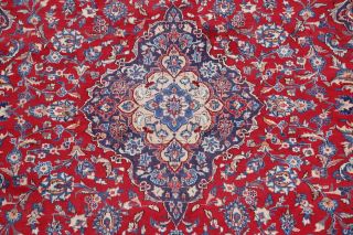 8x12 Traditional Wool Hand - Knotted Floral Oriental Rug Classic Carpet 4