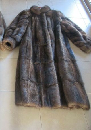 Brown Muskrat Fur Long Coat Xl In Great Con Mink Brown Furcoat 麝香皮大衣 사향 사각 코트